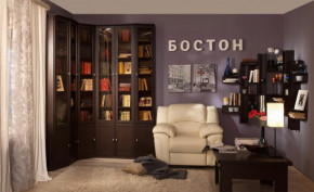 Шкаф для книг завершающий 34 Бостон в Искитиме - iskitim.mebelnovo.ru | фото