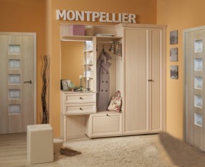 Шкаф для обуви 1 Montpellier в Искитиме - iskitim.mebelnovo.ru | фото